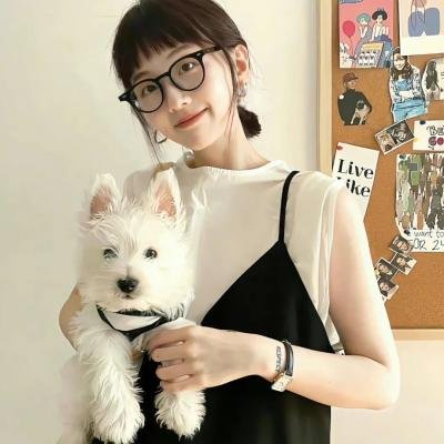 关人7事 在线观看